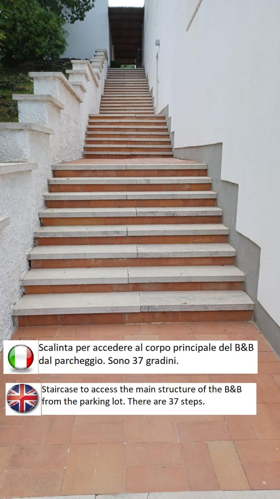 B&B Casabianca Palinuro Luaran gambar